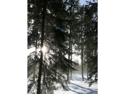 Apartment Appartement Größe M1 - Outdoor photo 37