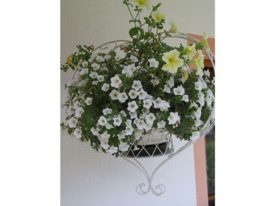 Apartment Appartement Größe M1 - Outdoor photo 50