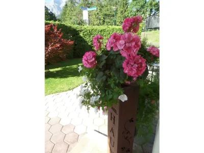 Apartment Appartement Größe M1 - Outdoor photo 51