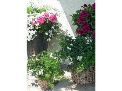 Apartment Appartement Größe S - Outdoor photo 45