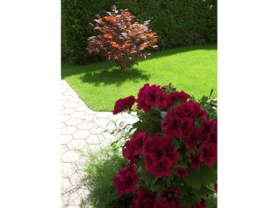 Apartment Appartement Größe L - Outdoor photo 4