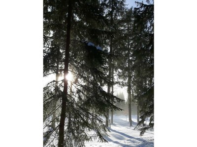 Apartment Appartement Größe L - Outdoor photo 37