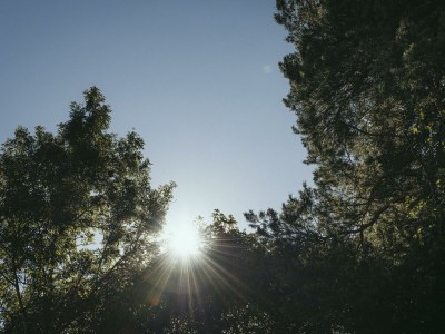 Apartment Typ Lilie - Outdoor photo 26