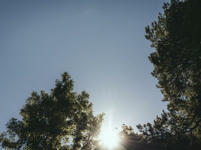 Apartment Typ Edelweiß4 - Outdoor photo 29