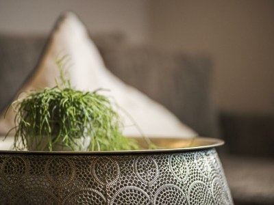 Apartment Typ Edelweiß4 - Features photo 40