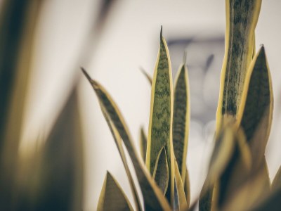 Apartment Typ Glockenblume - Features photo 49