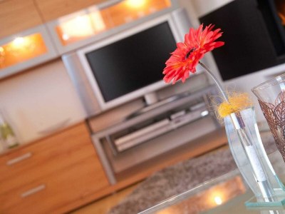 Apartment Ferienhaus Anna-Lena - Features photo 93