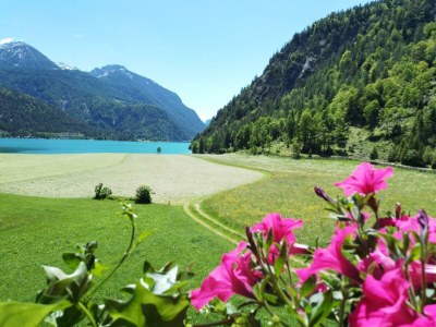 Apartment Ferienwohnung "Kuhweide" - Outdoor photo 6