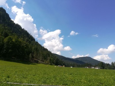 Apartment Ferienwohnung "Kuhweide" - Outdoor photo 11