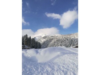 Apartment Ferienwohnung "Kuhweide" - Outdoor photo 20