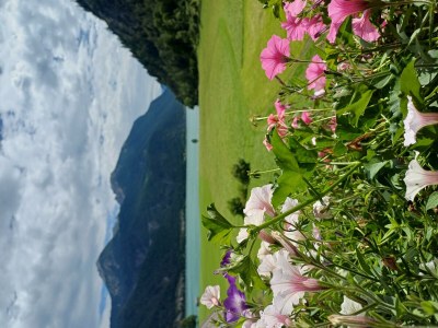 Apartment Ferienwohnung "Kuhweide" - Outdoor photo 41