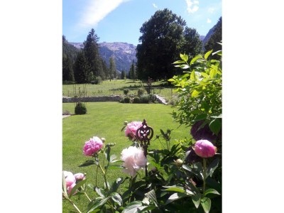 Holiday room Doppelzimmer Bad/WC in Pertisau am Achensee - Holiday room