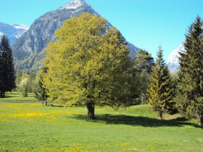 Holiday room Doppelzimmer Bad/WC - Features photo 31