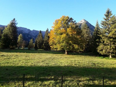 Holiday room Doppelzimmer Bad/WC - Features photo 32