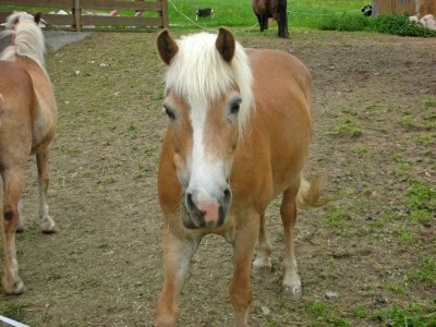 Apartment Karwendel - Outdoor photo 15
