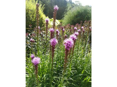 Holiday room Vierbettzimmer mit Dusche - Outdoor photo 12