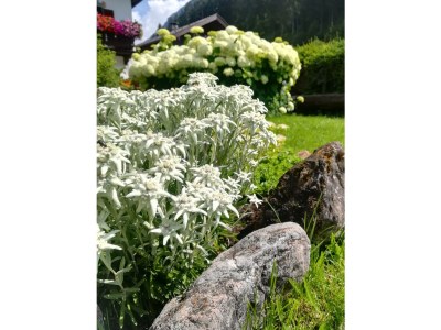 Holiday room Vierbettzimmer mit Dusche - Outdoor photo 13