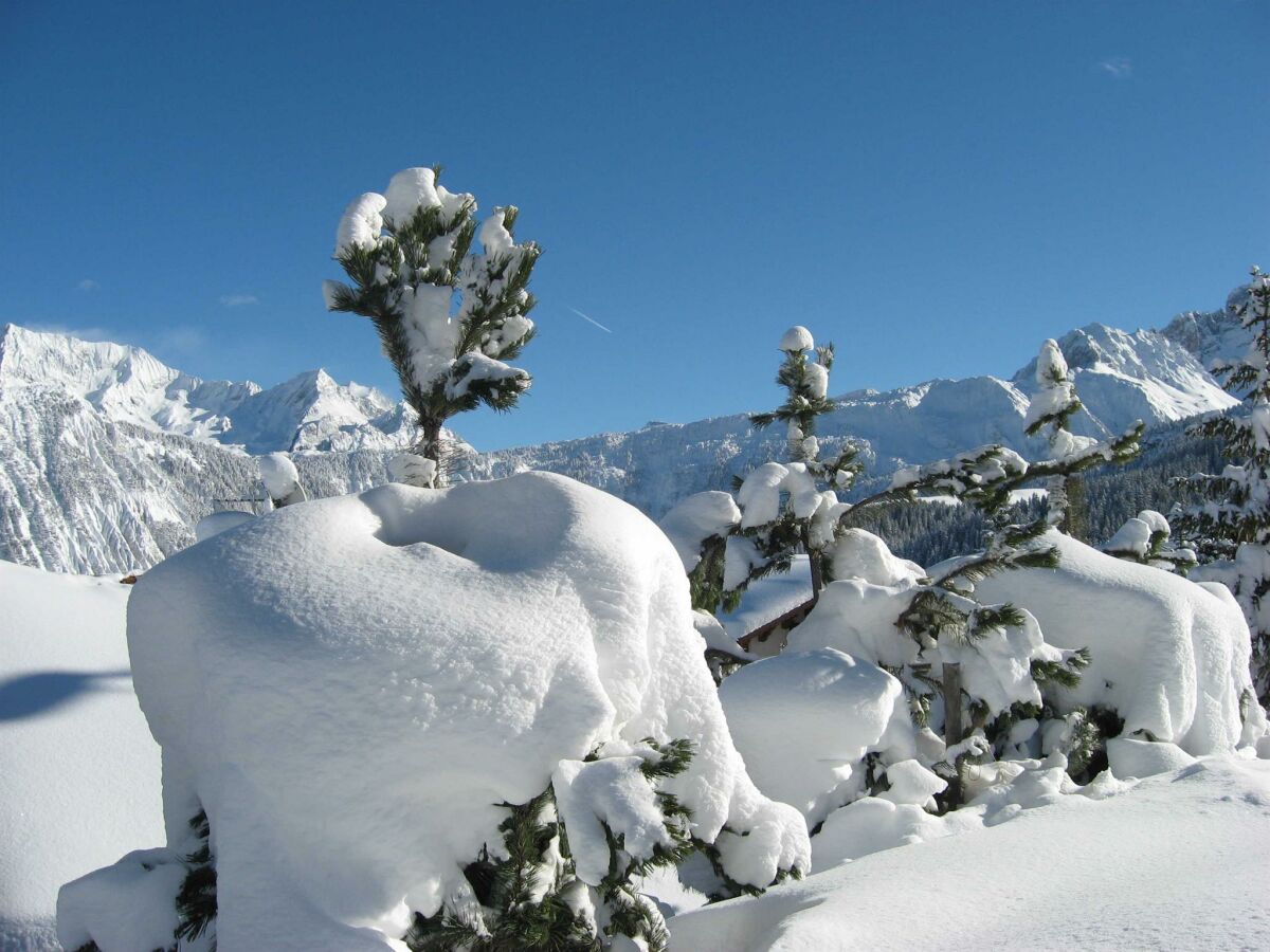 Apartment Ferienwohnung 1 - Outdoor photo 5