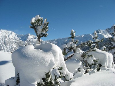 Apartment Ferienwohnung 1 - Outdoor photo 5