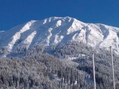 Apartment Ferienwohnung 1 - Outdoor photo 6