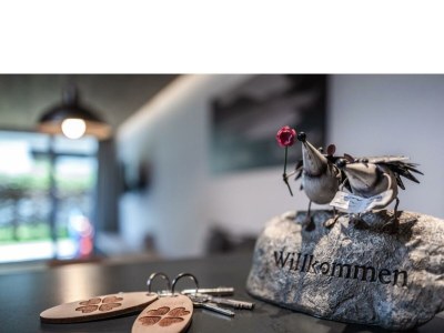 Apartment Alpenchalet VIERKLEE - Outdoor photo 6