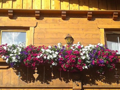 Apartment Ferienwohnung Achensee - Features photo 46