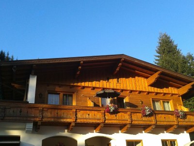 Apartment Ferienwohnung Achensee - Features photo 60