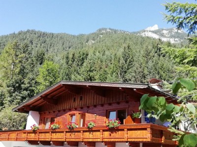 Apartment Ferienwohnung Maurach - Outdoor photo 10