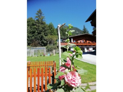 Apartment Ferienwohnung Maurach - Outdoor photo 14