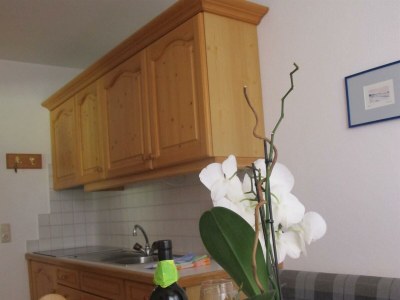 Apartment Salzburg - Outdoor photo 14