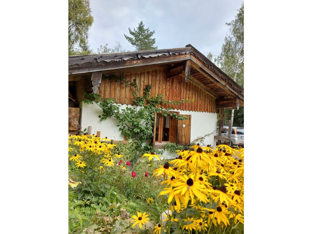 Apartment Blackberry - Outdoor photo 3