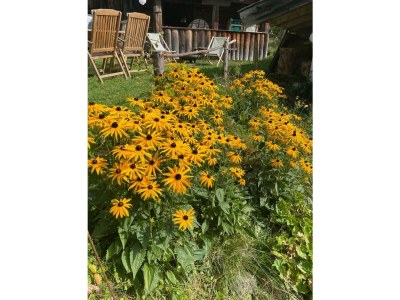 Apartment Blackberry - Outdoor photo 7