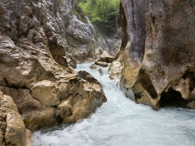 Apartment Blackberry - Outdoor photo 12