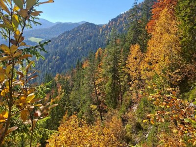 Apartment Blackberry - Outdoor photo 17