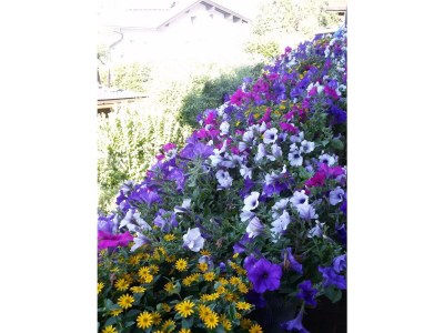 Apartment Ferienwohnung klein - Outdoor photo 21