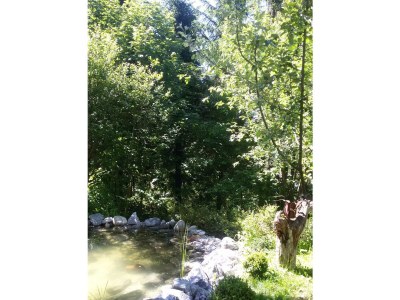 Apartment Ferienwohnung klein - Features photo 26