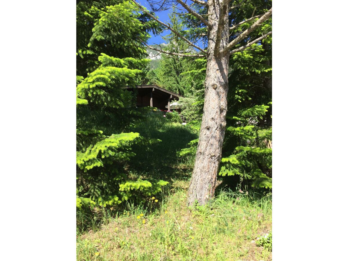 Apartment Ferienhaus - Outdoor photo 5