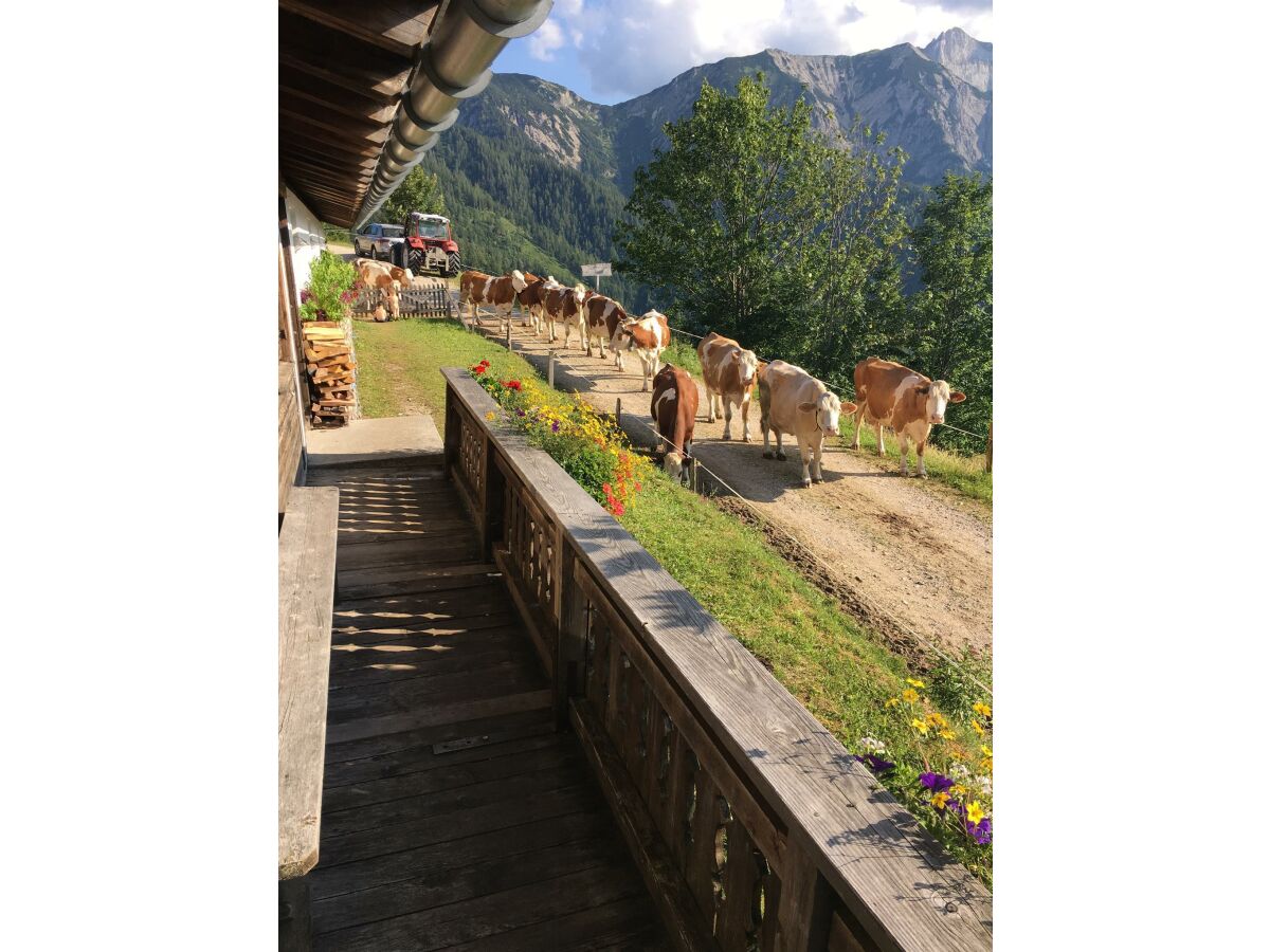 Holiday room Ferienhaus Waldeck - Outdoor photo 3