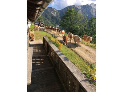 Holiday room Ferienhaus Waldeck - Outdoor photo 3