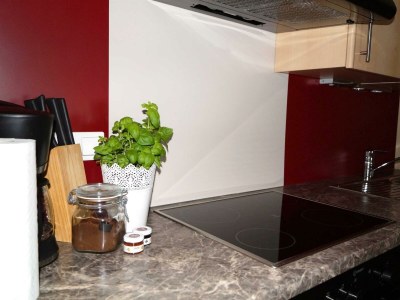 Apartment Ferienwohnung II 2-4 Pers. 1 - Features photo 13