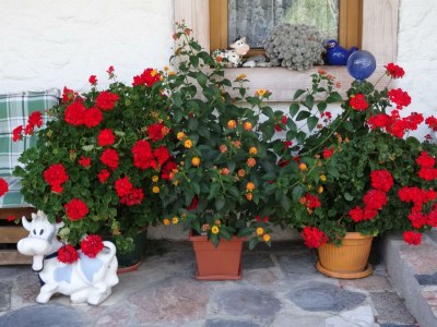 Apartment Badhaus - Outdoor photo 26