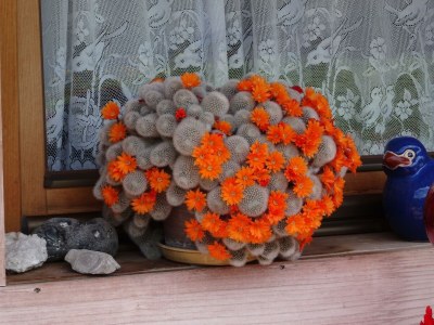 Apartment Badhaus - Outdoor photo 29