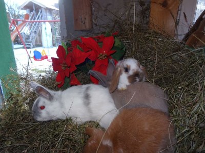 Apartment Badhaus - Outdoor photo 90