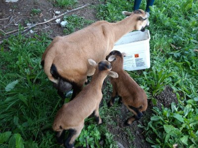 Apartment Badhaus - Outdoor photo 96