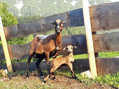 Holiday room Doppelzimmer Karwendel - Outdoor photo 97