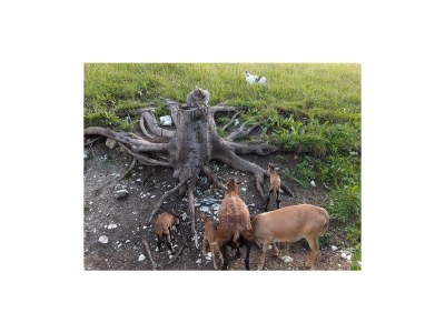 Holiday room Doppelzimmer Karwendel - Outdoor photo 99