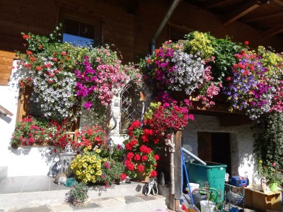 Apartment Guffertblick - Outdoor photo 27