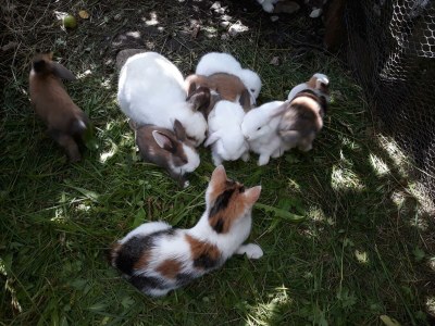 Apartment Guffertblick - Outdoor photo 81