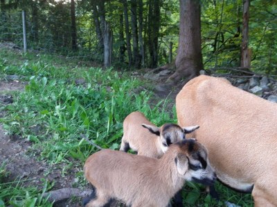 Apartment Guffertblick - Outdoor photo 84