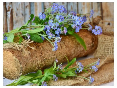 Apartment F2-Appartement 16 1-3 Nächte - Features photo 35